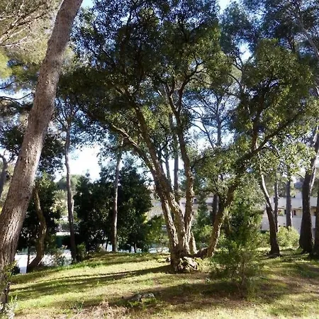 Apartamento Hameau Des Pins - & Piscine - Clim & Wifi Saint-Raphaël