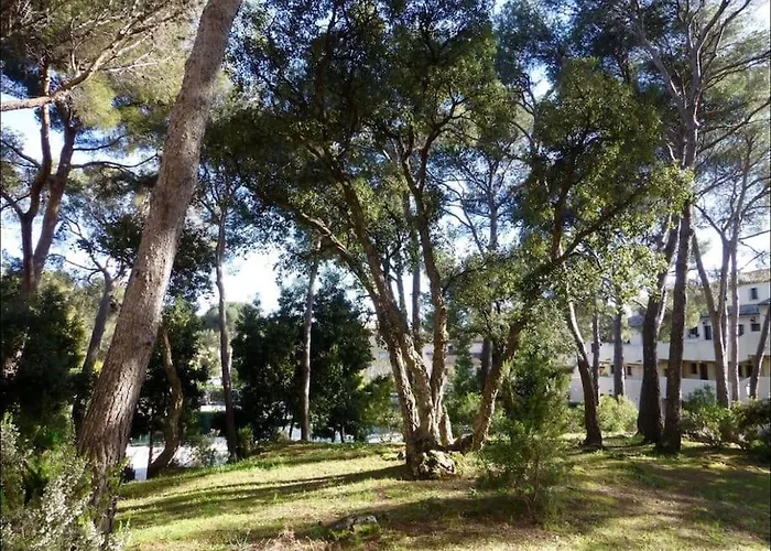 Apartamento Hameau Des Pins - & Piscine - Clim & Wifi Saint-Raphaël